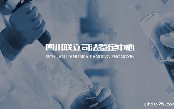 成都网站建设，成都网站开发